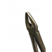 Щ-170 Stomatological forceps